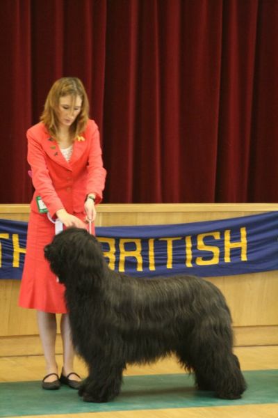 Merdoc winning BIS at the BBC limit show 2011