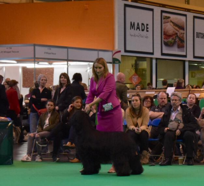 Crufts BOB with owners S Rodgers & S Hillier