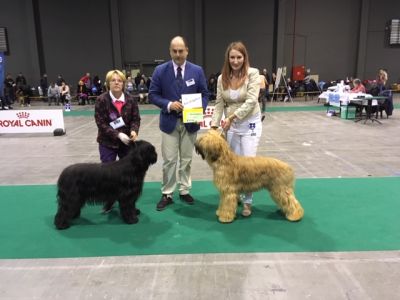 Audrey BOS & George BOB Kortrijk 18