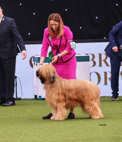 BOB CRUFTS 2022