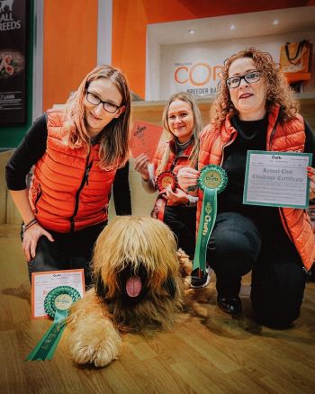 George winning DCC & BOB Crufts 2022