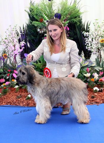 Making breed history by winning the junior group at Blackpool