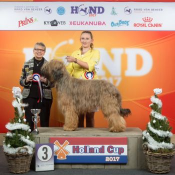 BIG 3 Holland Cup 2017